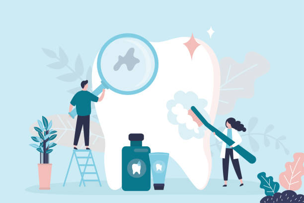  Kingston, WA Holistic Dental Care Services Pros